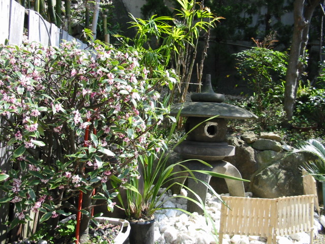 法生garden2